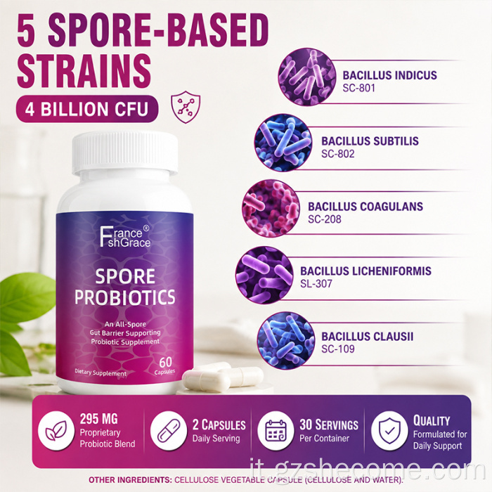 Capsule di probiotici Shecome Spore Integratori per la salute dell'intestino